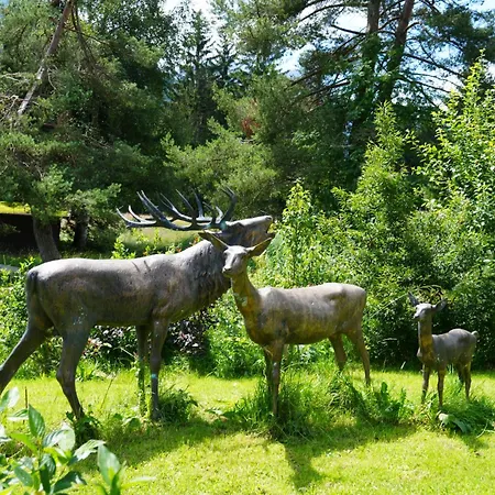 Boutique Hotel Herzhof - Garni-Appartements - Adults Only-3